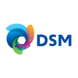 DSM